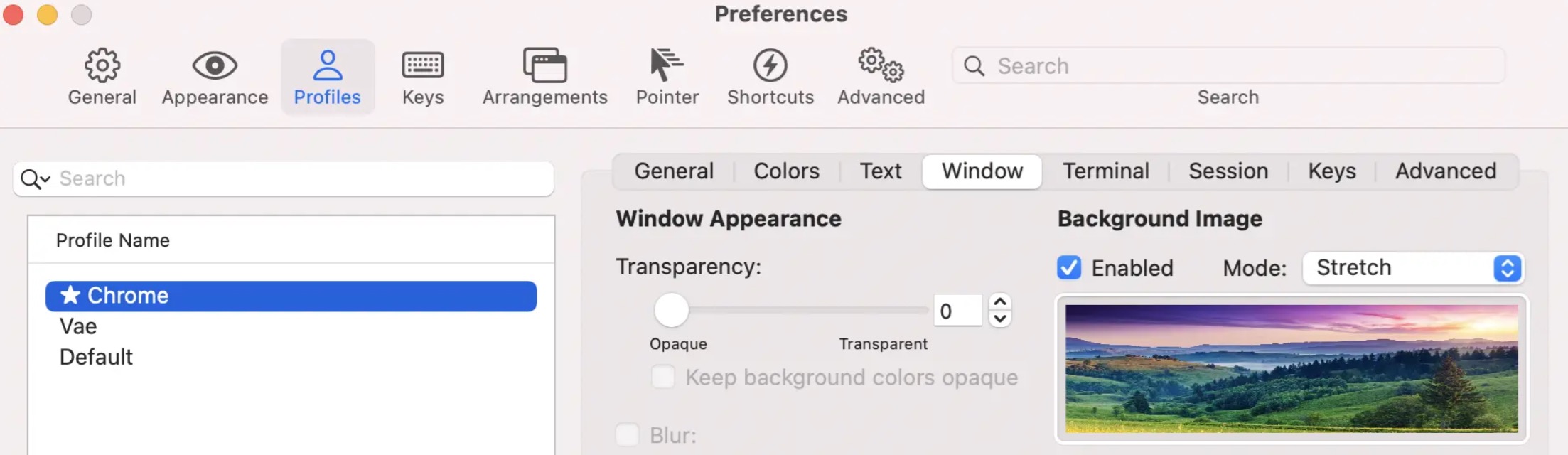 Mac 终端效率神器:Homebrew + iTerm2 + Oh My Zsh 完整安装与优化教程